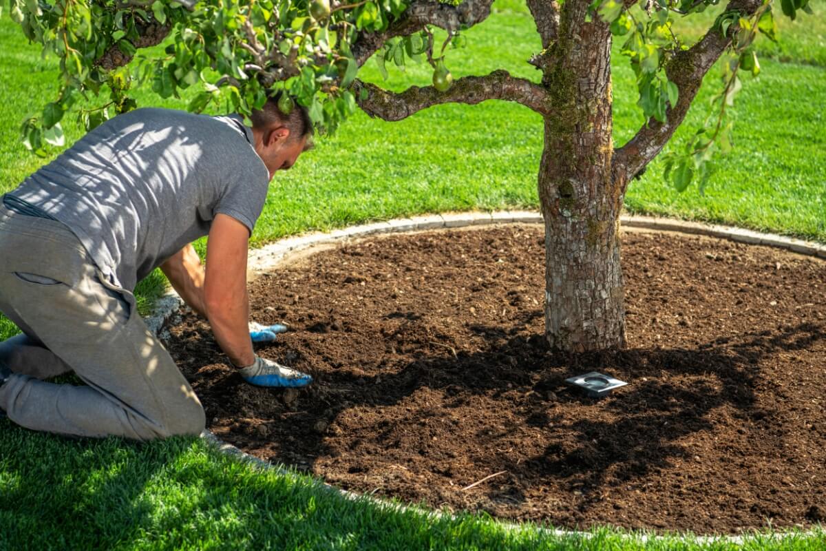 Mulch vs gravel