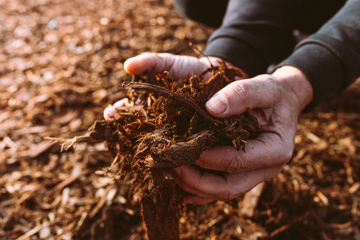 Sustainable Landscaping Benefits of Using Organic Mulches (1)