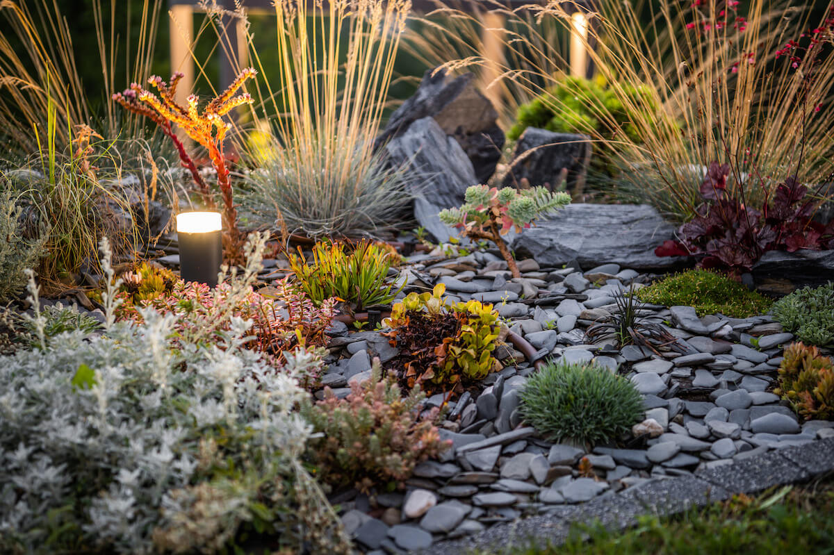 flowerbed-in-landscape-garden-2025-03-16-19-38-59-utc